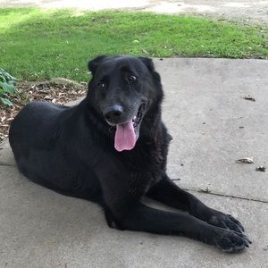 Meet your Posher, Parker